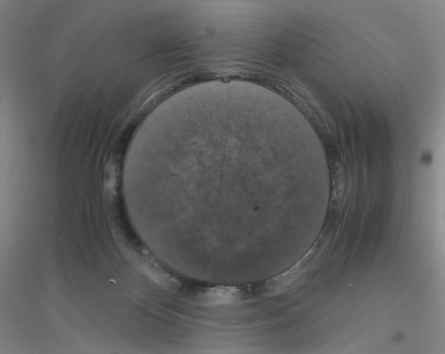 X0000116780124201001281702