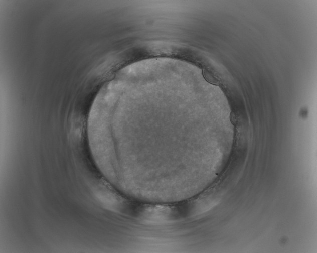 X0000116780125201001281702