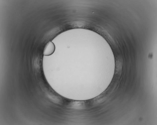 X0000116780126201001281702