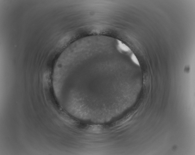 X0000116780127201001281702