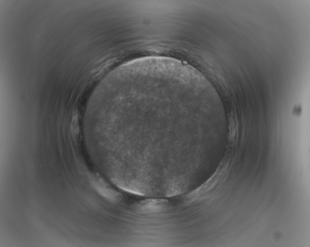 X0000116780128201001281702