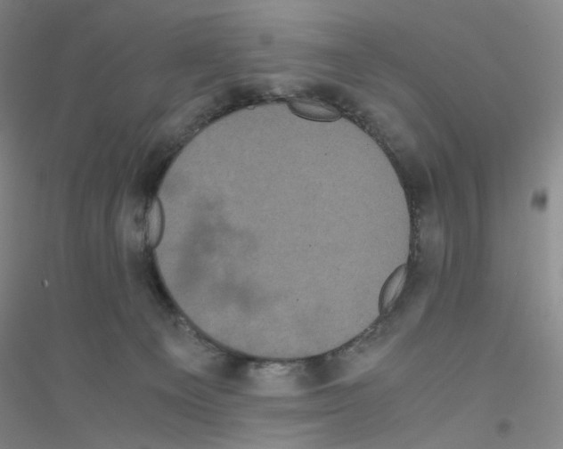 X0000116780129201001281702