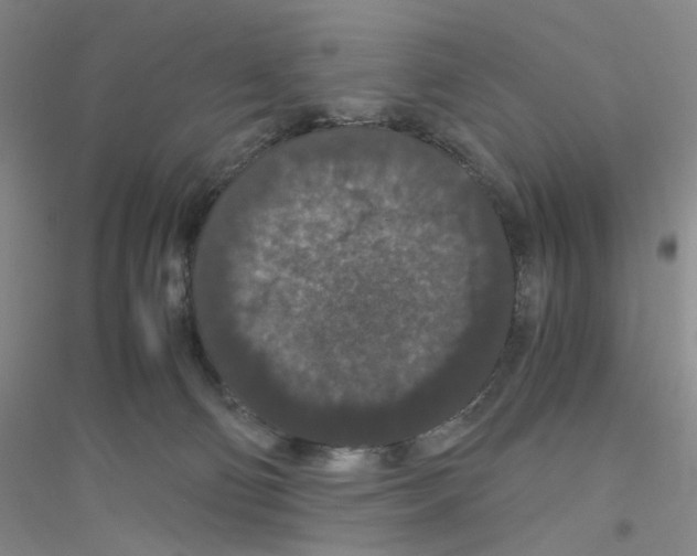 X0000116780130201001281702