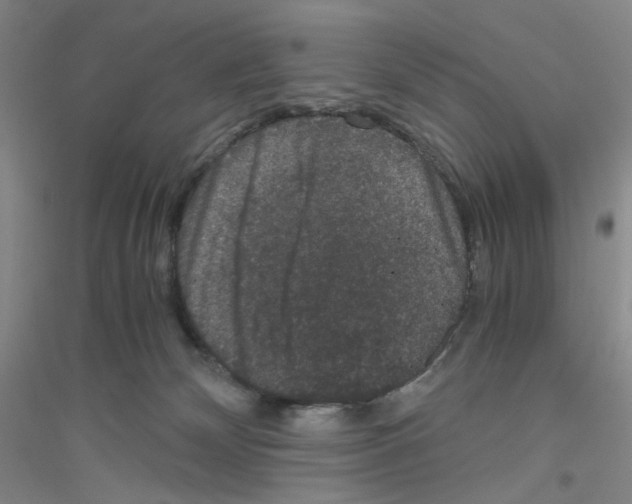 X0000116780132201001281702