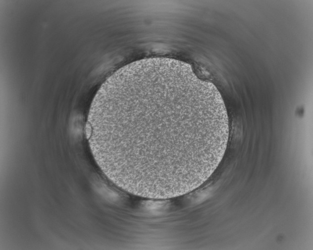 X0000116780135201001281702