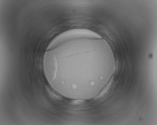 X0000116780136201001281702