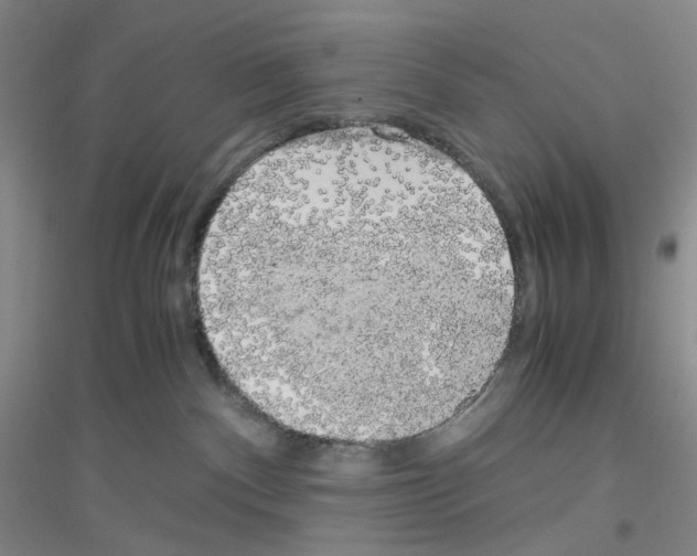 X0000116780140201001281702