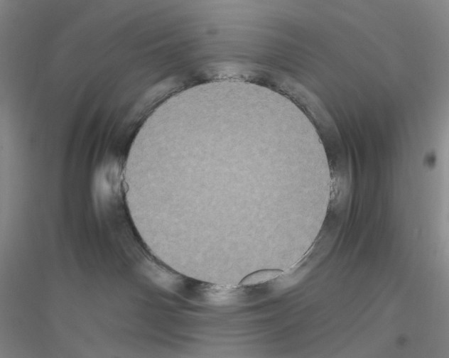 X0000116780142201001281702