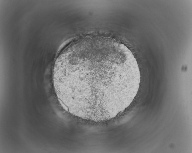 X0000116780144201001281702