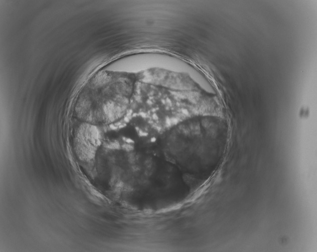 X0000116780145201001281701