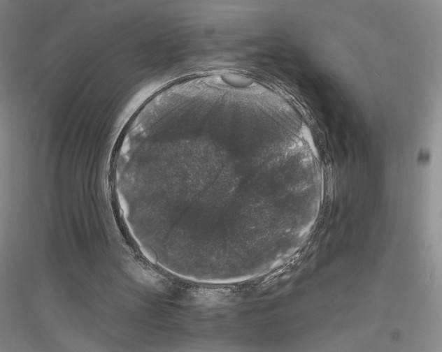 X0000116780147201001281701