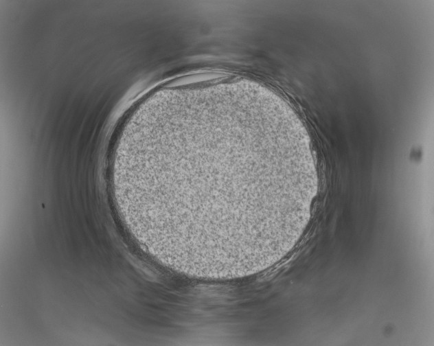 X0000116780150201001281701