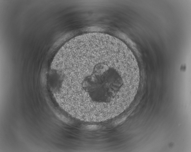 X0000116780153201001281701