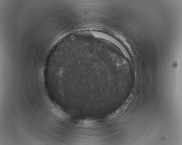 X0000116780154201001281701