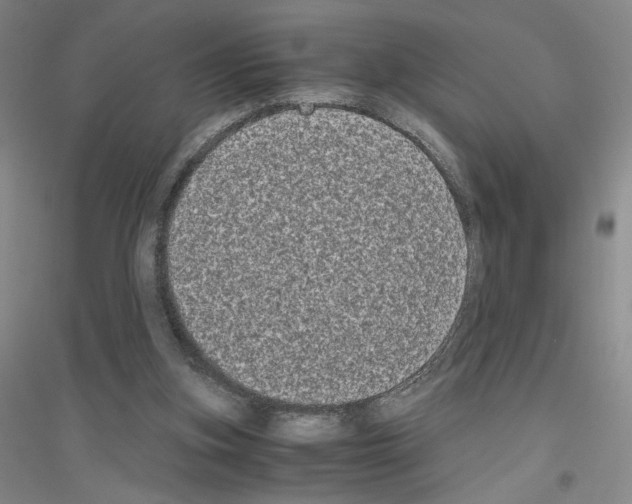 X0000116780155201001281701