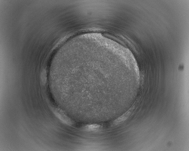 X0000116780158201001281701