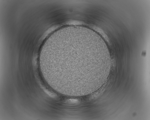 X0000116780159201001281701