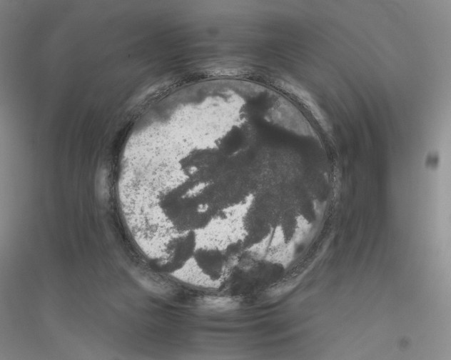 X0000116780161201001281701