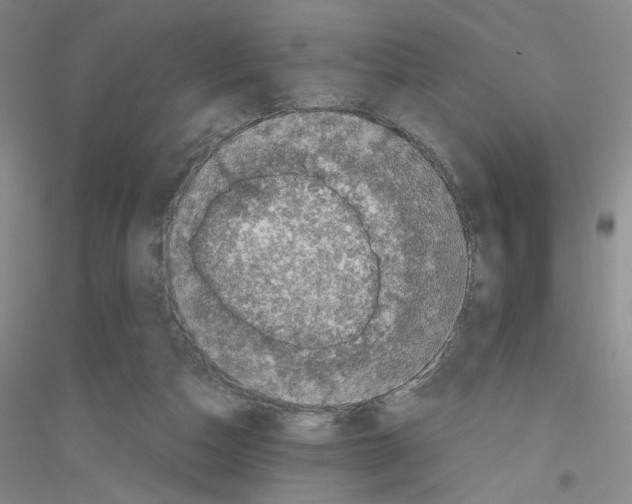 X0000116780162201001281701