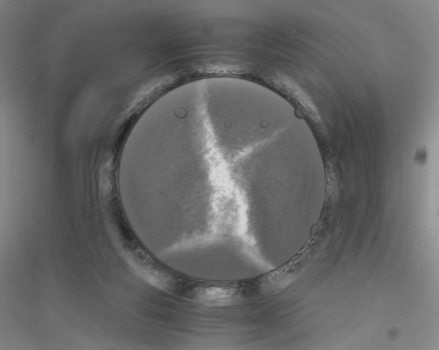 X0000116780163201001281701