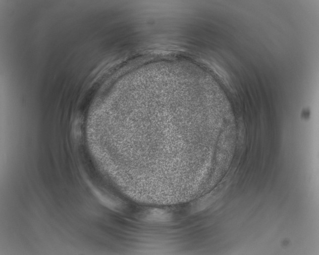 X0000116780166201001281701