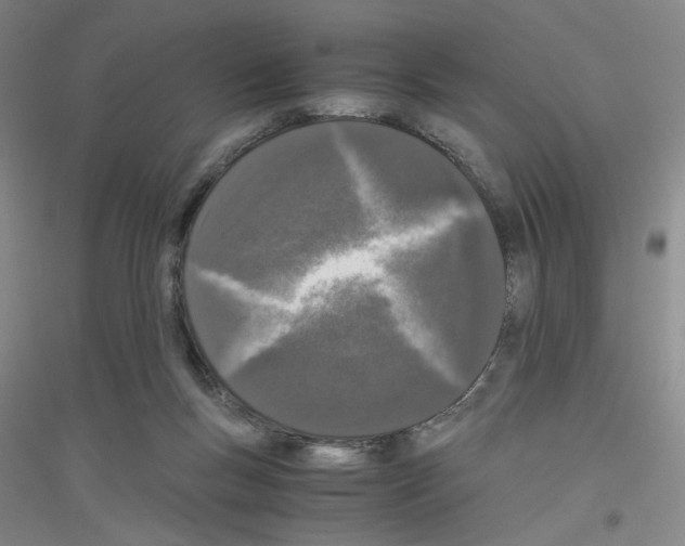 X0000116780167201001281701