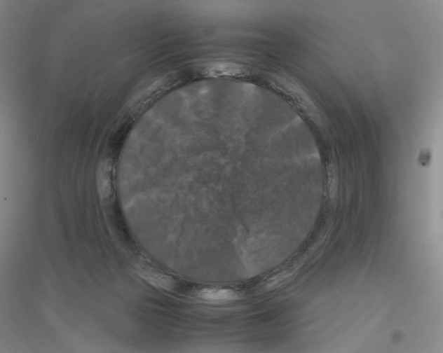 X0000116780169201001281701