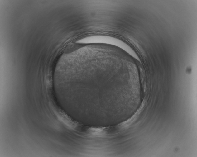 X0000116780170201001281701