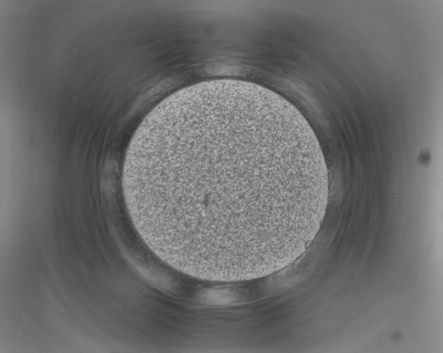 X0000116780171201001281701