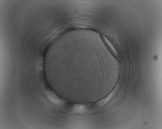 X0000116780174201001281701