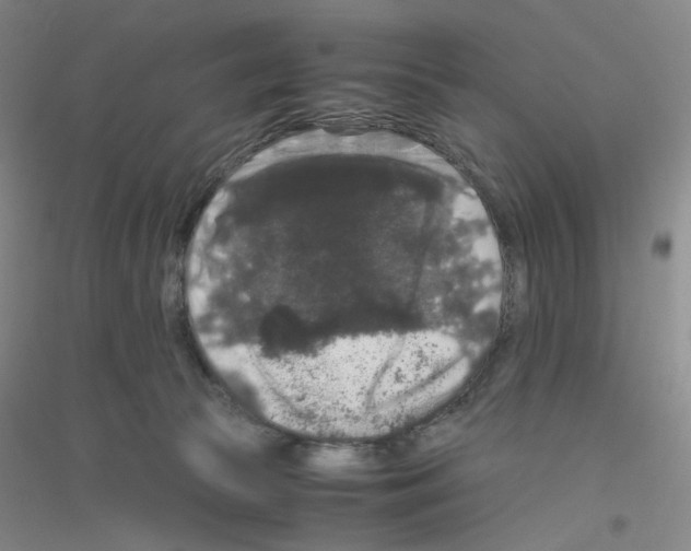 X0000116780177201001281701