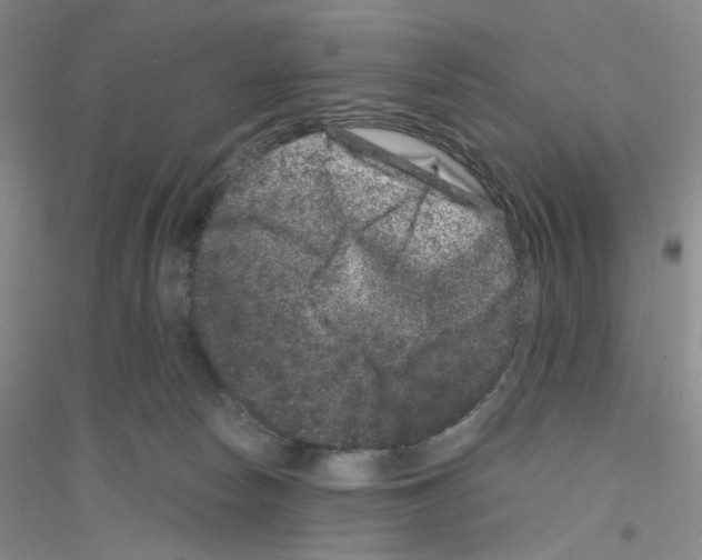 X0000116780178201001281701