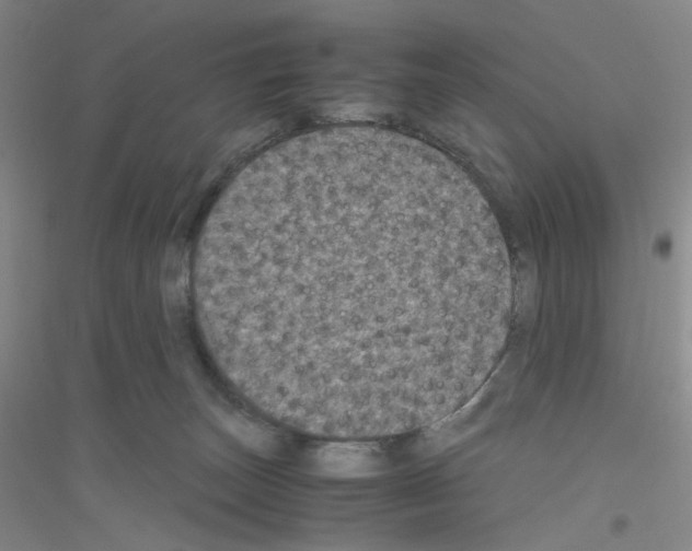 X0000116780179201001281701