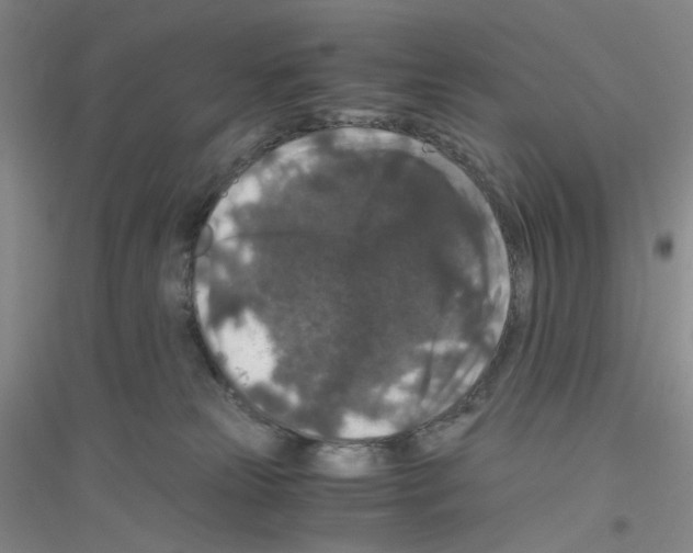 X0000116780181201001281702