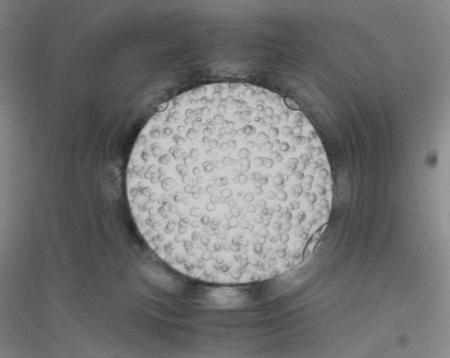 X0000116780183201001281702