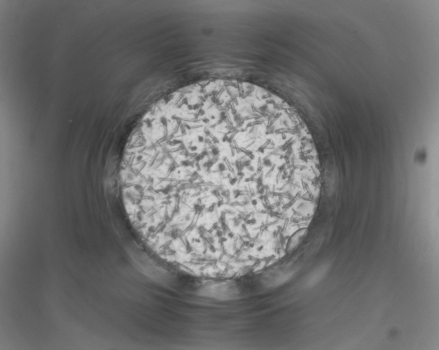 X0000116780185201001281702