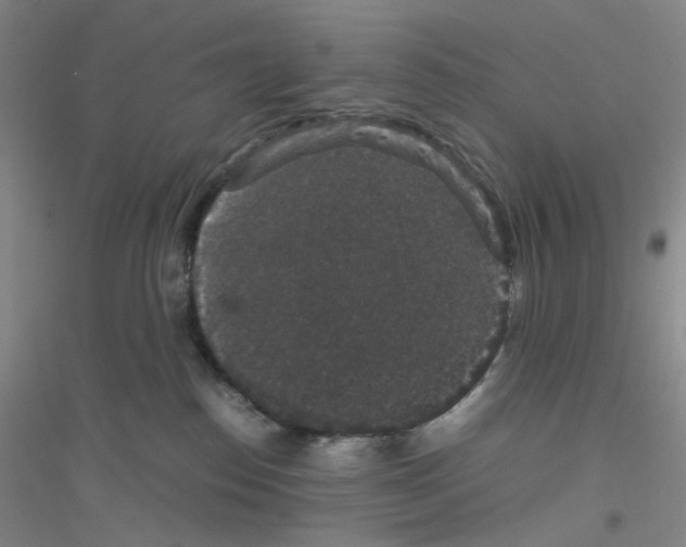 X0000116780186201001281702