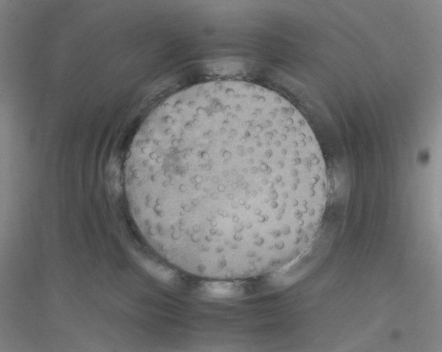 X0000116780187201001281702