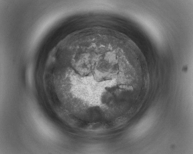 X0000116780189201001281702