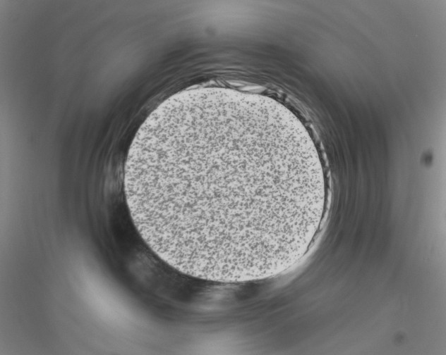 X0000116780190201001281702