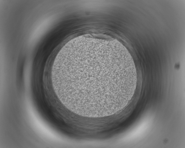 X0000116780191201001281702