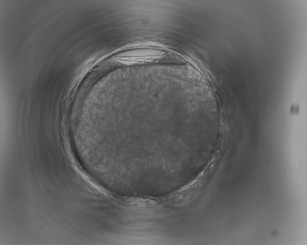 X0000116780193201001281701