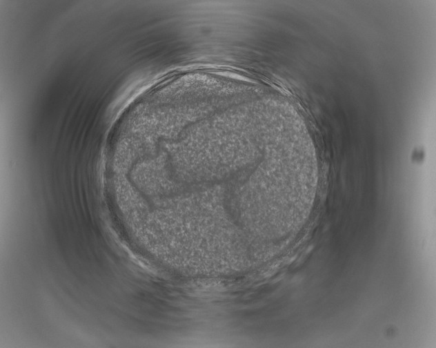 X0000116780194201001281701