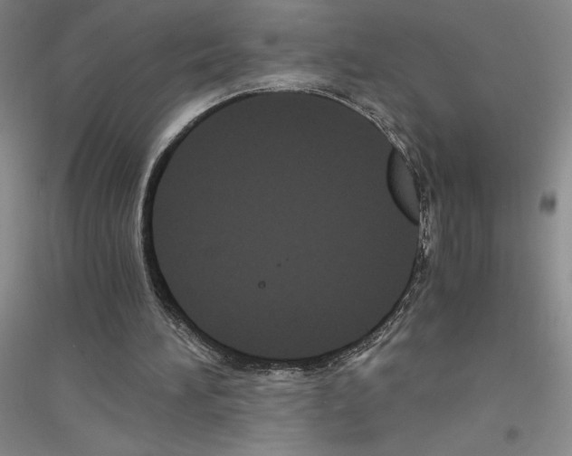 X0000116780196201001281701