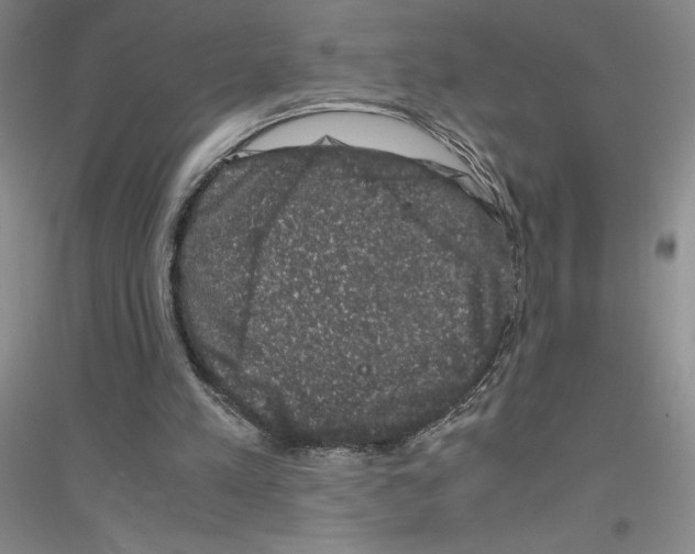 X0000116780197201001281701