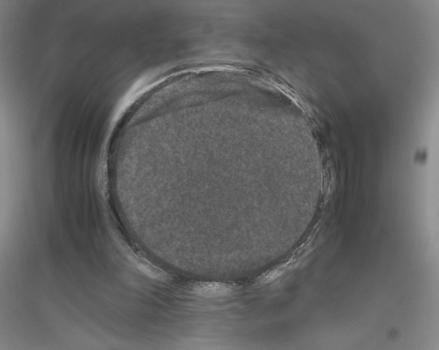 X0000116780198201001281701