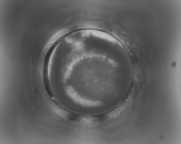 X0000116780199201001281701