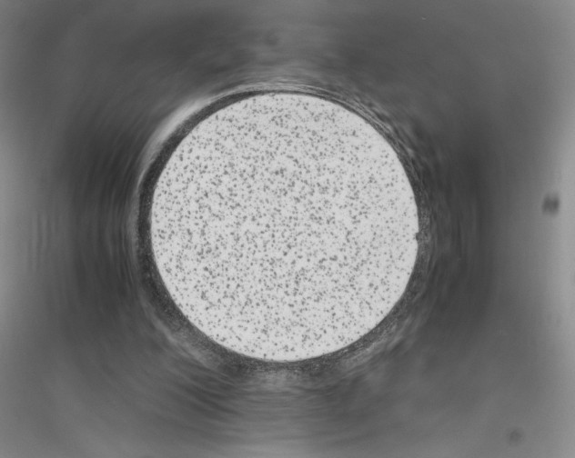 X0000116780200201001281701