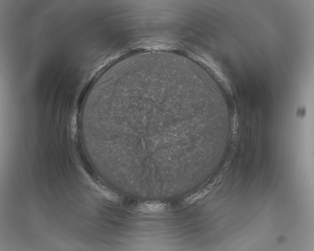 X0000116780202201001281701