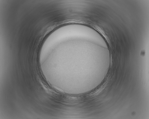 X0000116780205201001281701